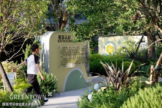 园网站-——绿城春晓园大家千万别被套路了！ayx爱游戏体育网页版入口2025绿城