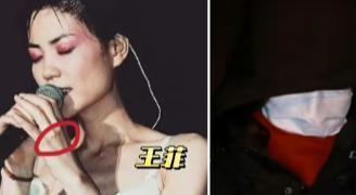 疑似现身春晚彩排网友：今年一定不早睡ayx爱游戏app春晚惊喜来了！王菲(图17)