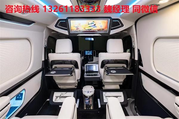 蓝牌MPV 海狮9座大尺寸商务车卖价爱游戏(ayx)中国网站进口丰田海狮(图3)
