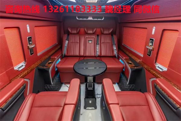 蓝牌MPV 海狮9座大尺寸商务车卖价爱游戏(ayx)中国网站进口丰田海狮(图4)