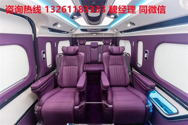 蓝牌MPV 海狮9座大尺寸商务车卖价爱游戏(ayx)中国网站进口丰田海狮(图5)