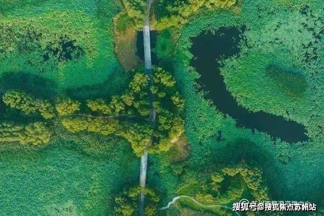 5楼盘评测-鹿溪雅园售楼中心详情户型 小区配套爱游戏app网站鹿溪雅园售楼处欢迎您 202(图4)